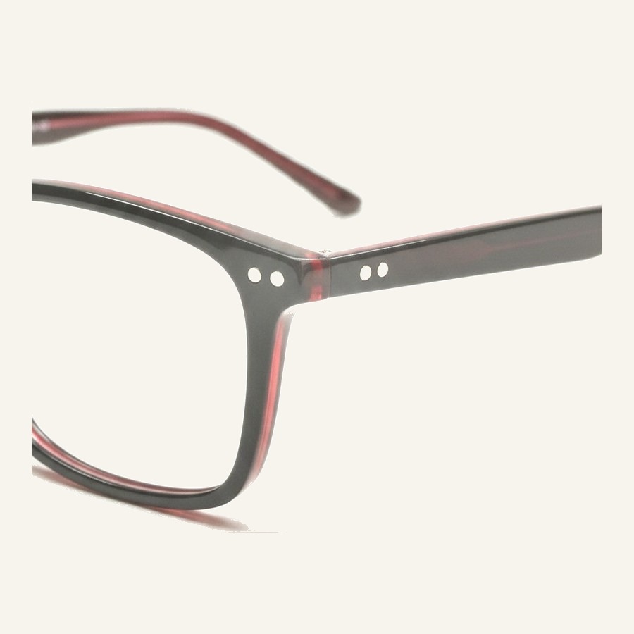 Monture 2073 S.Black+Trans.Red