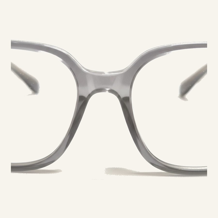 Monture 2504 Trans.Grey