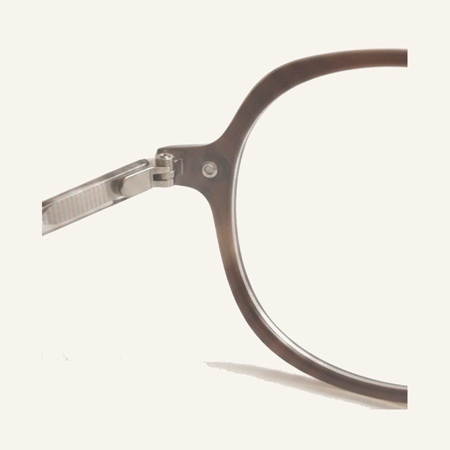 Monture 2747 Trans.Brown