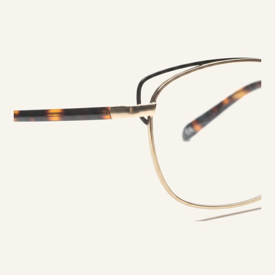 Monture 4051 C3