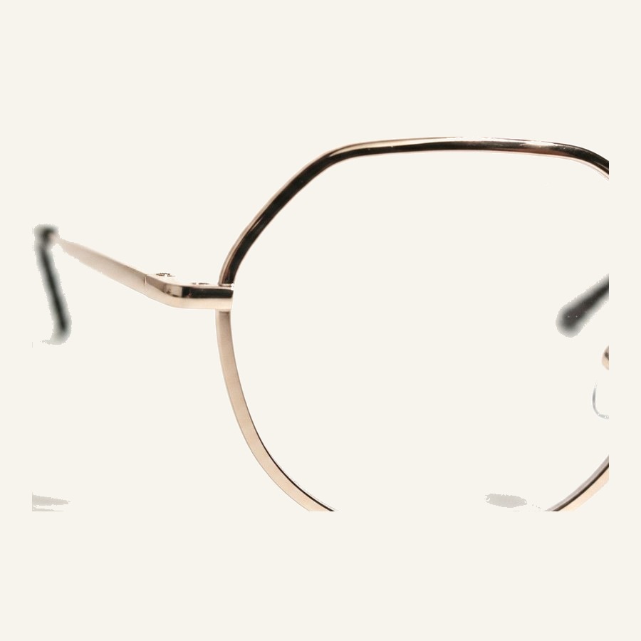 Monture 4393 C1