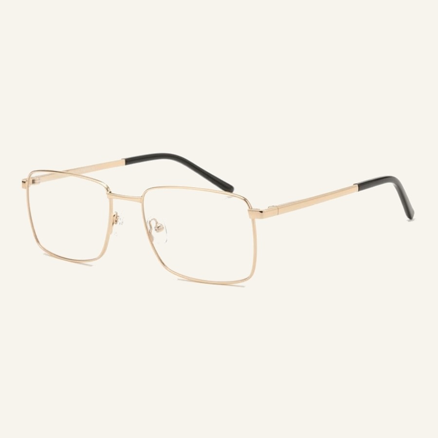 Monture 4543 S.Silver/S.Gold