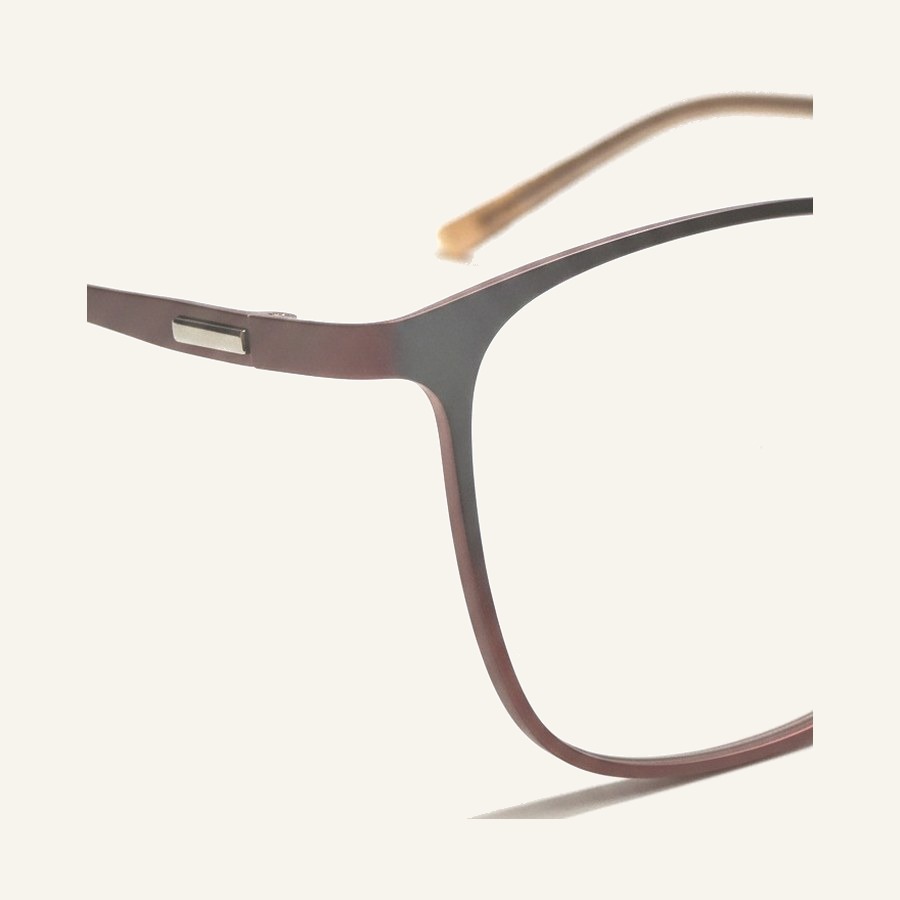 Monture 4561 C1