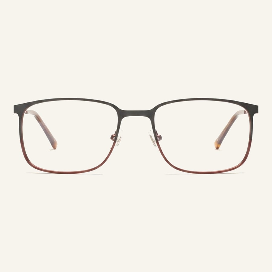Monture 4561 C1