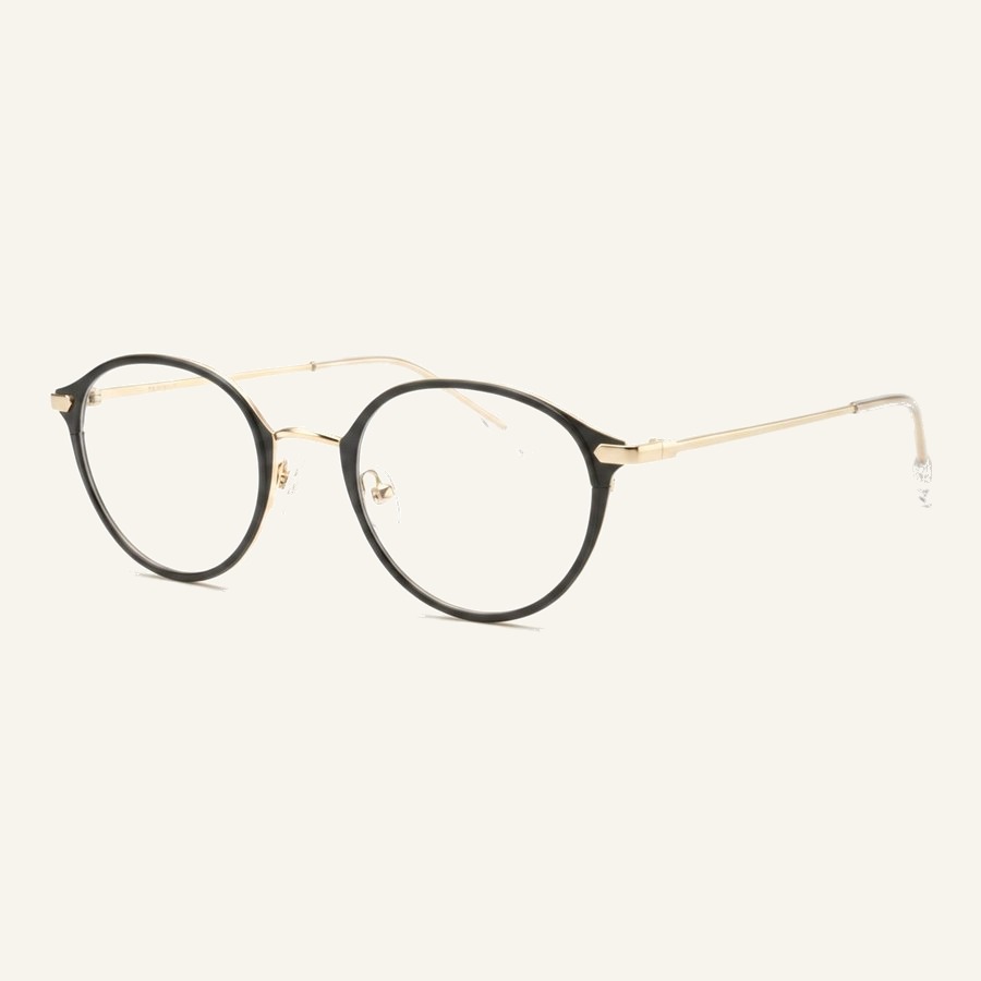 Monture 4666H S.Black/S.Gold