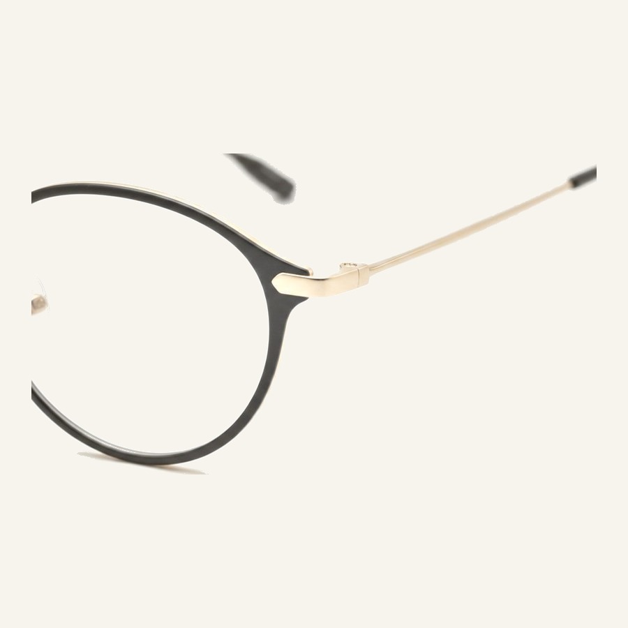 Monture 4666H S.Black/S.Gold