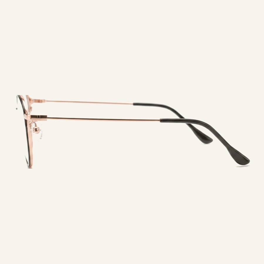 Monture 4666H S.Black/R.Gold