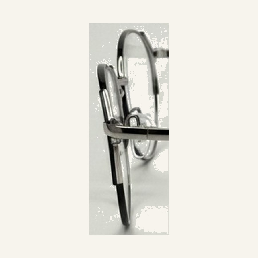 Monture 4667 C3