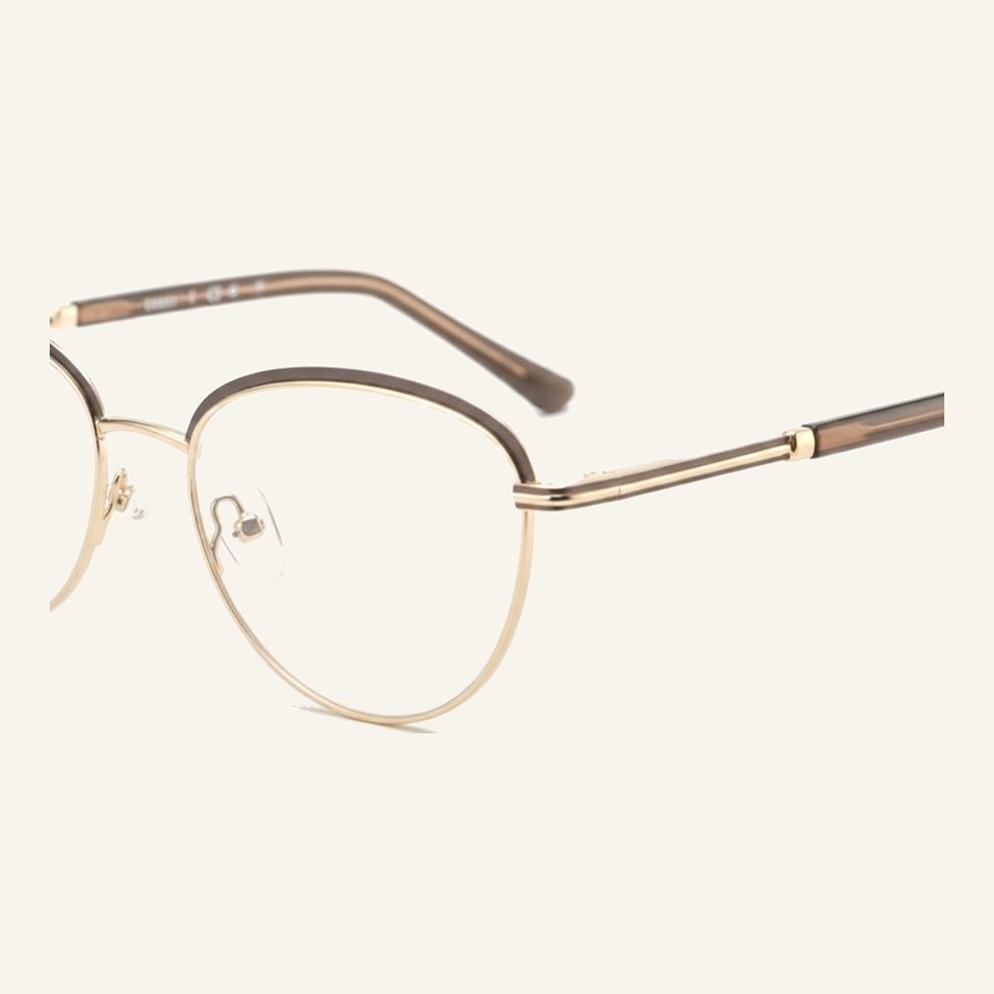 Monture 4759 M.Brown/S.Gold