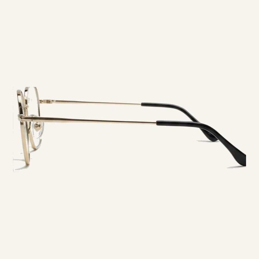 Monture A4520 S.Gold/M.Black