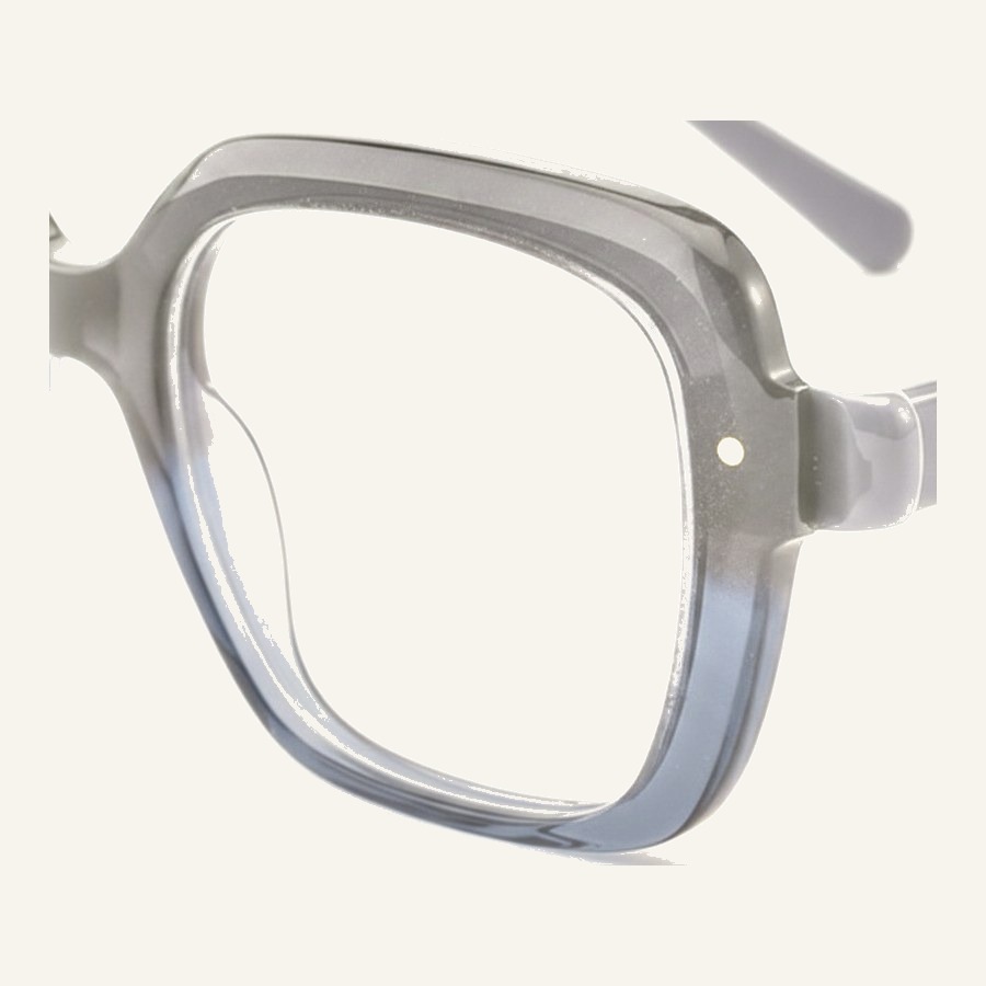 Monture FP2219 grey