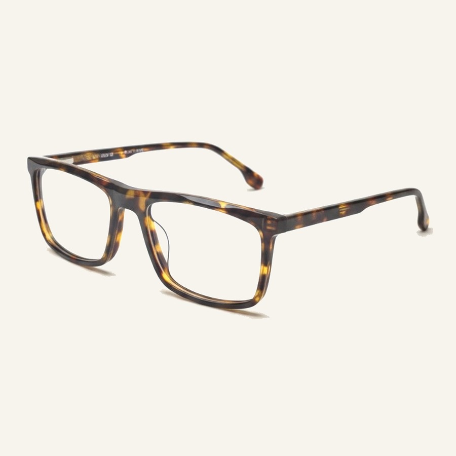 Monture R0096 C2