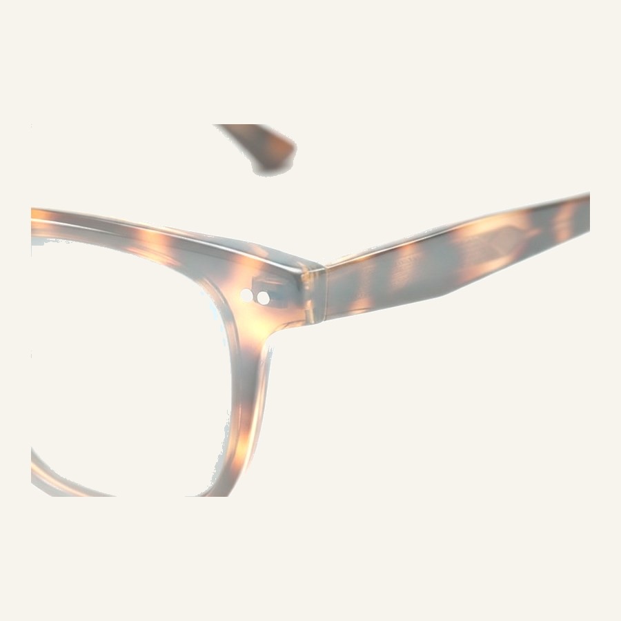 Monture TRO99012 C23